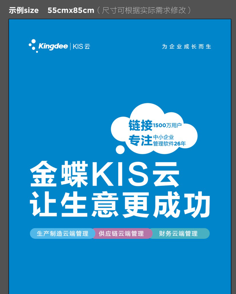 kis云金蝶軟件專業版